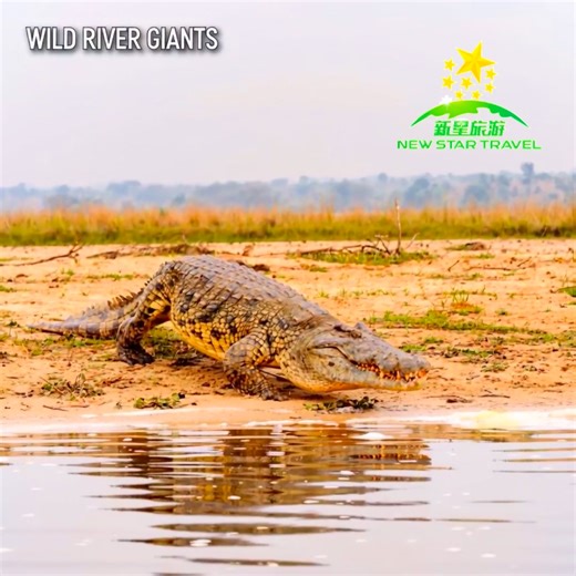 𝟭𝟰𝗗 𝗘𝘁𝗵𝗶𝗼𝗽𝗶𝗮 & 𝗠𝗮𝗱𝗮𝗴𝗮𝘀𝗰𝗮𝗿 · 𝗧𝘄𝗶𝗻-𝗖𝗼𝘂𝗻𝘁𝗿𝘆 𝗘𝘅𝗽𝗹𝗼𝗿𝗮𝘁𝗶𝗼𝗻 Ready to explore the cradle of humanity and an island lost in time? Journey from the tribal valleys of Ethiopia to the mystical baobabs of Madagascar, where ancient traditions meet unique wildlife found nowhere else on Earth., 🎁𝗘𝗮𝗿𝗹𝘆 𝗕𝗶𝗿𝗱 – $𝟰𝟬𝟬𝟬 𝗽𝗲𝗿 𝗰𝗼𝘂𝗽𝗹𝗲 𝗗𝗲𝗽𝗮𝗿𝘁𝘂𝗿𝗲 𝗗𝗮𝘁𝗲𝘀: 𝟭𝟵-𝗝𝘂𝗻-𝟮𝟲 | 𝟭𝟲-𝗢𝗰𝘁-𝟮𝟲 Tour Highlights 🗿 Ancient Tribes: Mursi (Lip-plate trib