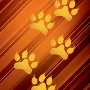 That Lucky Lion is still on the prowl—catch him while you can! Play this Scratch while these roaring top prizes still remain. | Washington's Lottery