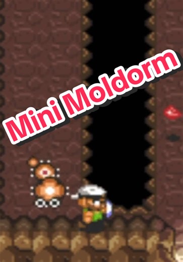 Mini moldorm nightmare #lttp #linktothepast #legendofzelda #zelda #max2dgam1ng