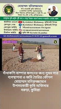 Cabbage Farming A Step By Step Guide For Beginners How To Cabbage Cultivation By Organic Procedure