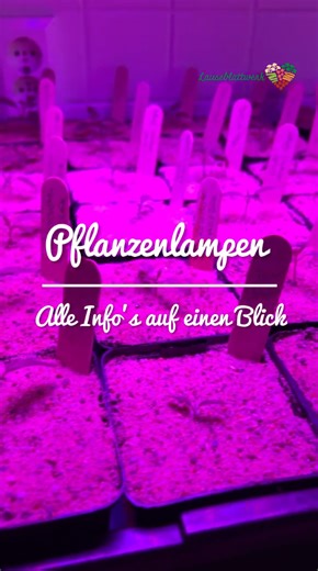 LED Pflanzenlampen richtig einsetzen für die Anzucht