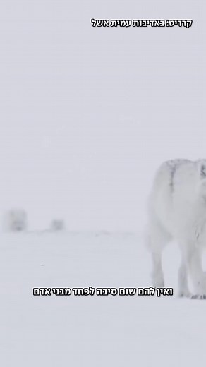 Cris Nantu on Reels | Facebook