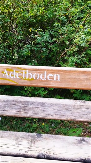 Engstligen Falls, Adelboden 🇨🇭⛰️ #love #nature #switzerland #happy #freedom