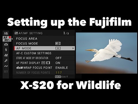 Fujifilm X-S20 for Wildlife Photography