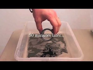 RYDLYME Marine dissolves scale in 30 minutes