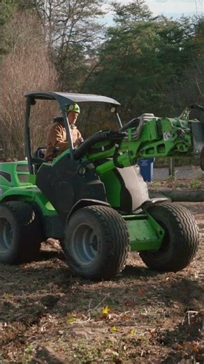 Tree Service Bridgeport NJ #arborists #nj #treecare