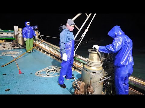 「🔴Live」海上直播！出海抓魚！上大貨！抓到超大紅甘群！ #金吉利 #金吉利定置網 #金吉利定置漁場 #定置網 #shorts #fish #fisher #fishchannel