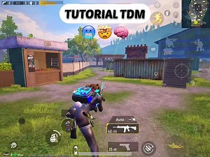 TDM Tutorial for PUBG Mobile