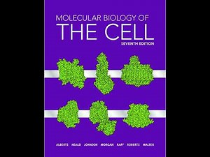 Proteins and Their Functions | Chapter 3 – Molecular Biology of the Cell