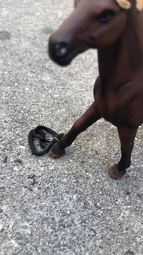 Schleich Horse and Snake Playtime Fun