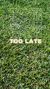 Turn your lawn from this 😡 to 😊 | Scotts Lawn Care