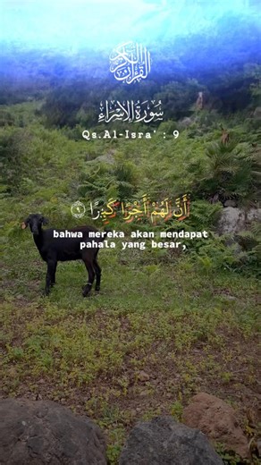 "إنَّ هَٰذَا الْقُرْآنَ يَهْدِي لِلَّتِي هِيَ أَقْوَمُ (سورة الإسراء، الآية 9)❤️