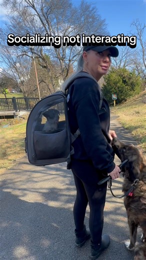 24 reactions | Last night was Boomer’s first night sleeping without...