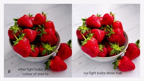 TBE LIGHTING 14w / 22 inch Cool White 6500K Tubes - F14T5/D Fluorescent Tube Lamps / 22''- CFL Bulbs - G5 2-Pin Base Fittings - T5 High Efficiency Lamps (4-Pack)