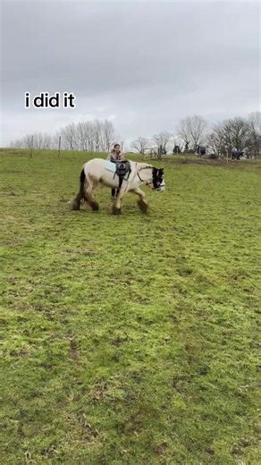 Ellie and her ponies 🩷 (@that.equestrian.elliee)’s videos with original sound - Emily