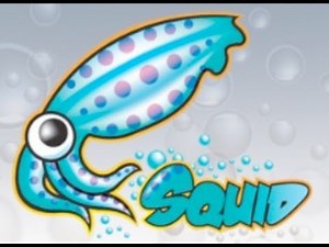 #16 Linux: SQUID as Transparent Proxy