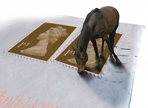 Carole Mortimer: Don't keep horses on postage stamps of land [H&H VIP] - Horse & Hound