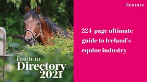 The Irish Field Directory 2021 is FREE with the paper this weekend ONLY. Make sure you pick up a copy in your local stockist. The 224-page publication is your ultimate guide to Ireland’s equine industry. It contains updated contact details for all sectors of the sport, plus lots of other useful information. Additional copies cost €20 each, so don’t miss your chance to get one (or two!) FREE this weekend! | The Irish Field | Facebook