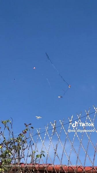 Diversão em São Paulo: Pipa e Música