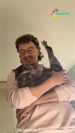 My cat walks like she pays rent. | Creative Company