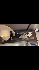 39K views · 773 reactions | Have my array of Western Legacy hats loaded and ready to roll!!! Thank you Signature Living Quarters for putting six hat racks in the trailer, we’re gonna need em!!!! | Coleman Proctor | Facebook