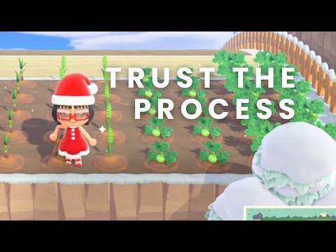 🌳 Storage FULL, Bells EMPTY… Trusting the Process | ACNH Ep.27🌿