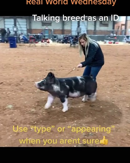 JudgingPro on TikTok