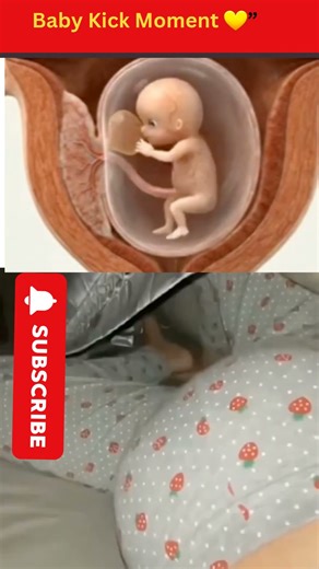 “Real Baby Kicks: Animation + Mom’s Belly View #pregnancy #ytshorts”