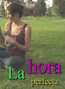 The Perfect Time - Movie