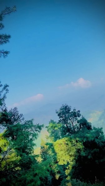 kips college gojra kips college gojra kips college gojra Ali Khan official 1 and my Sir Abdullah Rahman #foryou #foryou #foryou #kipscollegegojra #foryou #foryou #college #kips #foryou #foryou #foryou