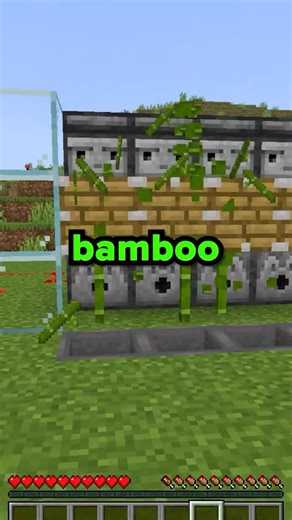 SharkSMP Beginner GUIDE #minecraft #shorts