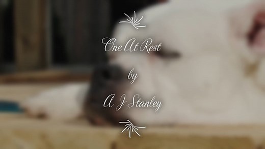 Funeral Poem One At Rest by A J Stanley