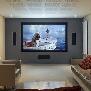 [Hot Item] Uhd Fixed Frame Projector Screen with 3D Silver Fabric