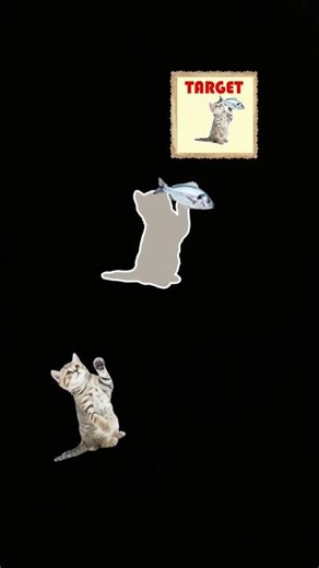 Super hard target 🎯!! Tap to stop challenge #phonkmusic #phonk #music #tap #target