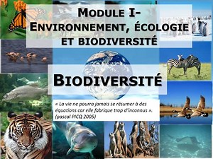 Module I- Environnement, écologie et biodiversité - SlideServe