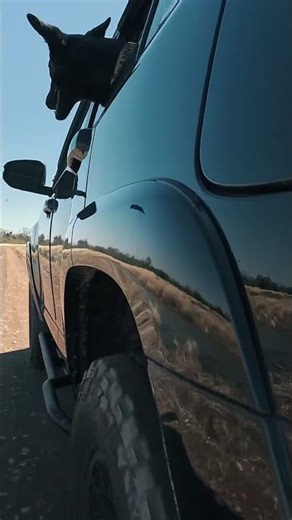 The Best 4Runner Roof Rack? DRIFTR SERIES