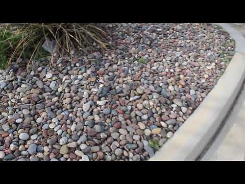 Arizona River Rock 3/4" x 1-1/2"