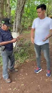 MECHITO LEARNS TO USE AN IPHONE FOR THE FIRST TIME