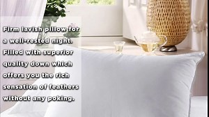 Luxury Down Pillow - 500 Thread Count 100% Cotton Shell, Standard Size, Firm, Set of 2