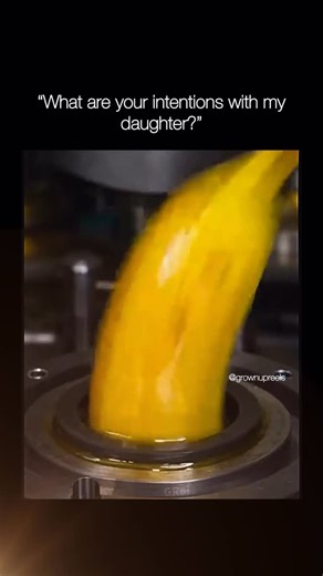 Grown-up Reels on Instagram: "Follow @grownupreels 😏👀 🍌 Bananas are technically berries… while strawberries are not. Botanically speaking, a berry is a fruit that grows from a single flower with one ovary and has seeds embedded inside the flesh. Bananas fit the rule perfectly; strawberries fail because their seeds are on the outside and the fruit forms from multiple ovaries. Nature clearly never consulted the produce aisle before making definitions. Bonus cosmic weirdness: bananas are slightl