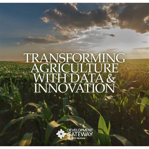 🎉 As we continue celebrating DG’s 25th anniversary, we’re highlighting one of the areas where our impact runs deepest: agriculture. 🌱 Through data-driven innovation, informed policy, and digital solutions, DG has partnered with governments and organizations across Africa and beyond to strengthen systems for seeds, livestock, soil health, and more – advancing interoperability and smarter agricultural decisions. Reliable, connected data helps farmers, policymakers, and other agricultural stakeho