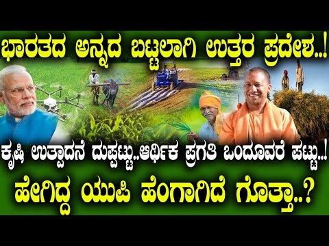 The Yogi Magic!..! ಭಾರತದ ಅನ್ನದ ಬಟ್ಟಲಾಗಿ ಉತ್ತರ ಪ್ರದೇಶ..! ಹೆಂಗಿದ್ದ ಯುಪಿ ಹೆಂಗಾಗಿದೆ ಗೊತ್ತಾ..?