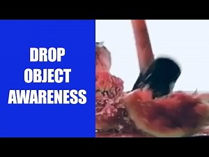Drop Object Awareness