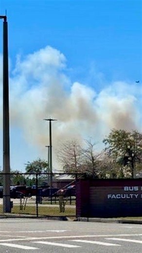 Daytona Beach brush fire grows, evacuations lifted
