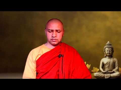 Perfect Stillness & Pure Equanimity | 30 Min Guided Meditation