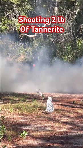 FN SCAR 308 Blowing up 2lb of Tannerite