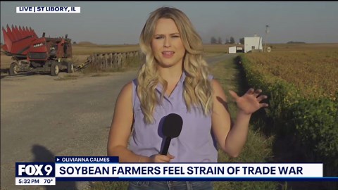 Tensions with China impacting soybean harvest