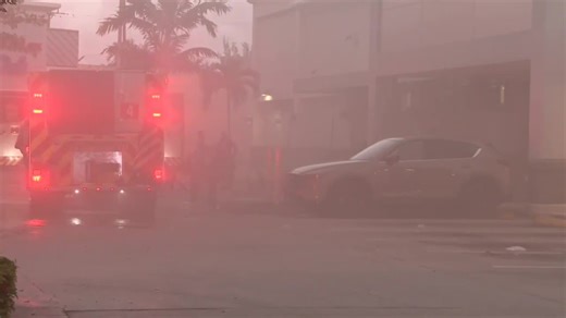 Crews put out freezer fire at ALDI in Palmetto Bay - WSVN 7News | Miami News, Weather, Sports | Fort Lauderdale