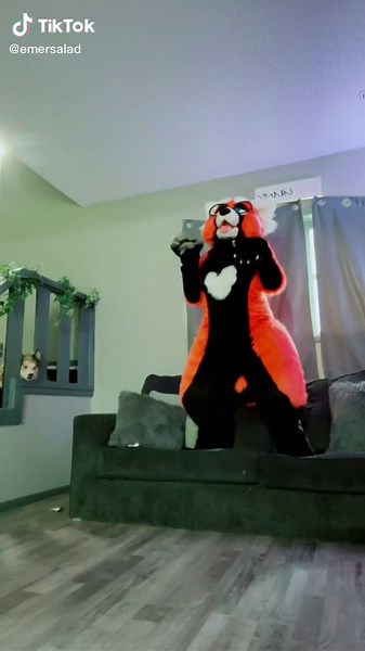 Adorable Red Panda Fursuit Activities