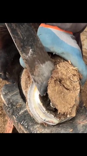 Best' ides | sleep eat fisheries